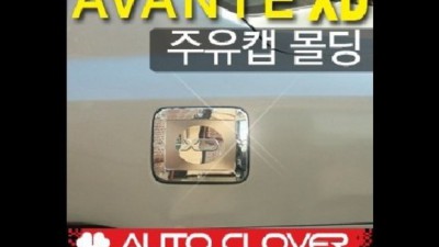 놓치면 후회! 뉴아반떼XD 라디에이터캡 초특가 득템 후기🔥